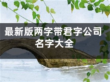 最新版两字带君字公司名字大全