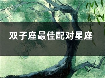 双子座最佳配对星座