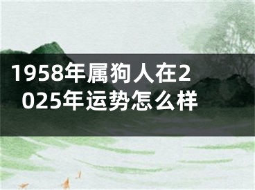1958年属狗人在2025年运势怎么样