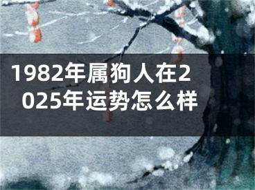 1982年属狗人在2025年运势怎么样