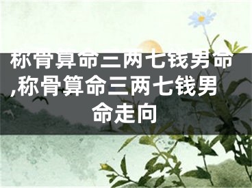 称骨算命三两七钱男命,称骨算命三两七钱男命走向