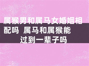 属猴男和属马女婚姻相配吗  属马和属猴能过到一辈子吗