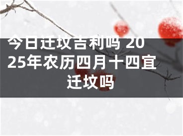 今日迁坟吉利吗 2025年农历四月十四宜迁坟吗