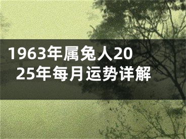 1963年属兔人2025年每月运势详解