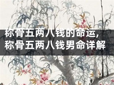 称骨五两八钱的命运,称骨五两八钱男命详解