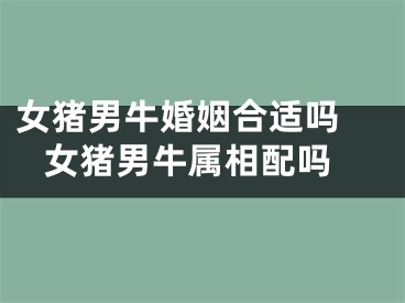 女猪男牛婚姻合适吗  女猪男牛属相配吗