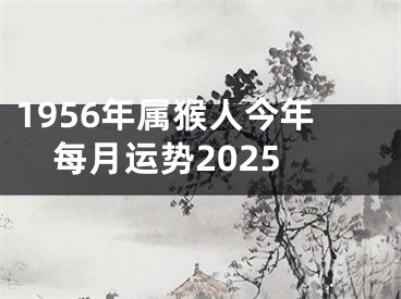 1956年属猴人今年每月运势2025