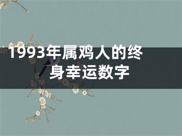 1993年属鸡人的终身幸运数字