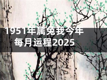 1951年属兔我今年每月运程2025