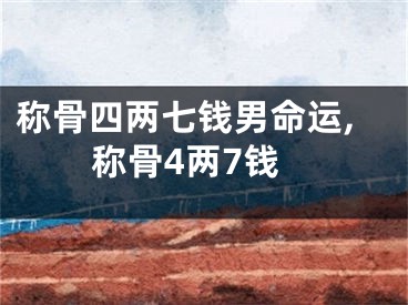 称骨四两七钱男命运,称骨4两7钱