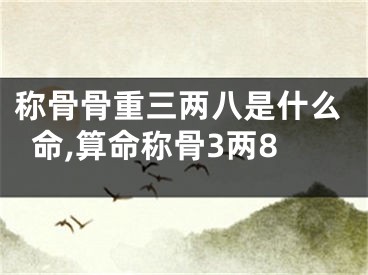 称骨骨重三两八是什么命,算命称骨3两8