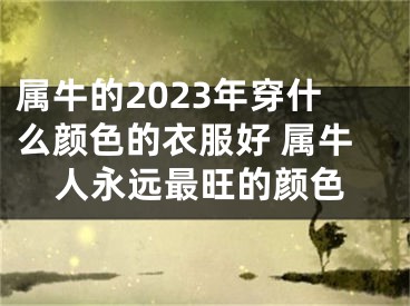 属牛的2023年穿什么颜色的衣服好 属牛人永远最旺的颜色