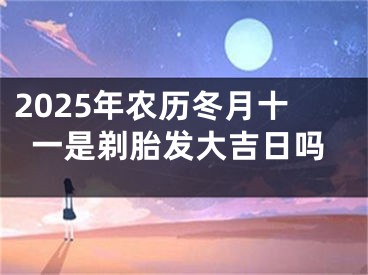 2025年农历冬月十一是剃胎发大吉日吗