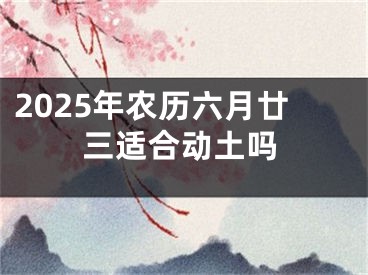 2025年农历六月廿三适合动土吗