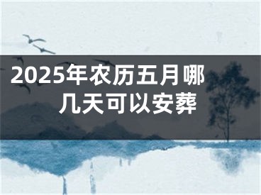 2025年农历五月哪几天可以安葬