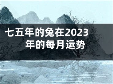 七五年的兔在2023年的每月运势