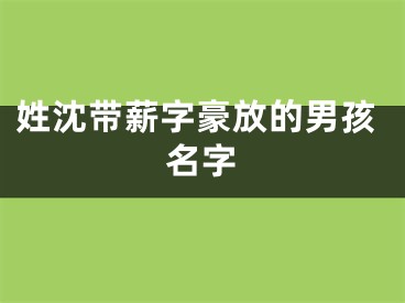 姓沈带薪字豪放的男孩名字