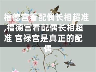 福德宫看配偶长相超准,福德宫看配偶长相超准 官禄宫是真正的配偶