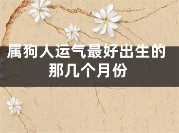 属狗人运气最好出生的那几个月份