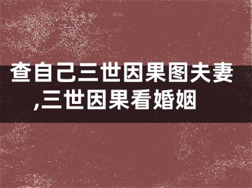 查自己三世因果图夫妻,三世因果看婚姻