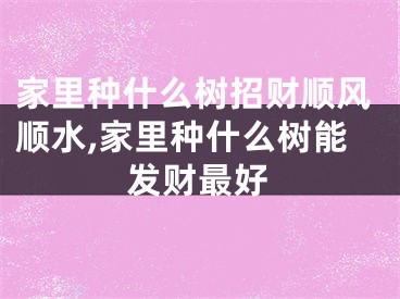 家里种什么树招财顺风顺水,家里种什么树能发财最好