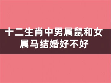 十二生肖中男属鼠和女属马结婚好不好