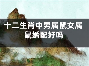 十二生肖中男属鼠女属鼠婚配好吗
