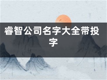 睿智公司名字大全带投字