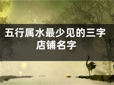 五行属水最少见的三字店铺名字