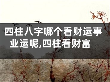 四柱八字哪个看财运事业运呢,四柱看财富