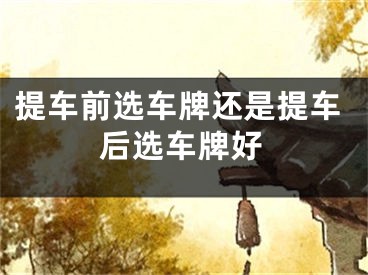 提车前选车牌还是提车后选车牌好