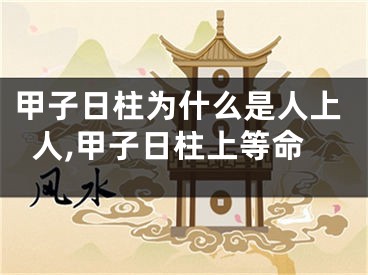 甲子日柱为什么是人上人,甲子日柱上等命