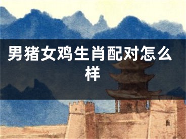 男猪女鸡生肖配对怎么样
