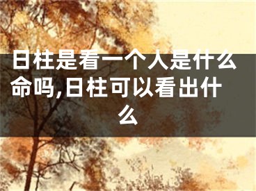 日柱是看一个人是什么命吗,日柱可以看出什么