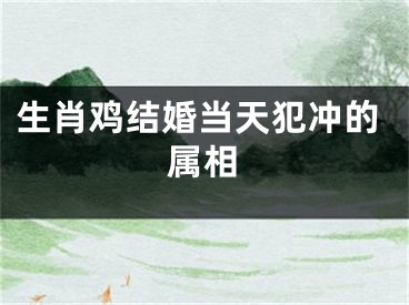 生肖鸡结婚当天犯冲的属相