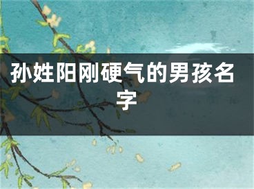 孙姓阳刚硬气的男孩名字