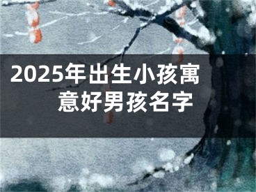 2025年出生小孩寓意好男孩名字