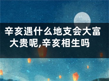 辛亥遇什么地支会大富大贵呢,辛亥相生吗