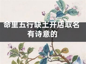 命里五行缺土开店取名有诗意的