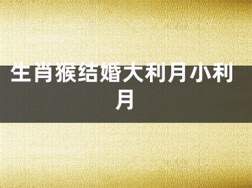 生肖猴结婚大利月小利月