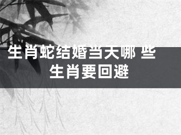 生肖蛇结婚当天哪 些生肖要回避