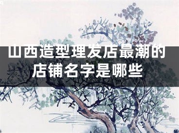 山西造型理发店最潮的店铺名字是哪些