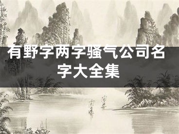 有野字两字骚气公司名字大全集