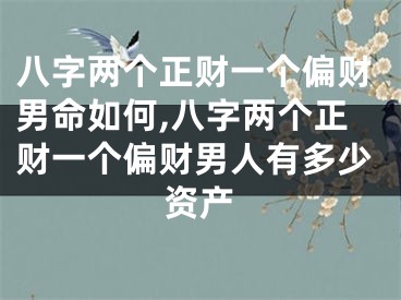 八字两个正财一个偏财男命如何,八字两个正财一个偏财男人有多少资产