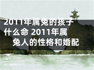 2011年属兔的孩子什么命 2011年属兔人的性格和婚配