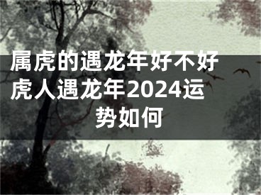 属虎的遇龙年好不好 虎人遇龙年2024运势如何