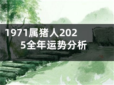 1971属猪人2025全年运势分析