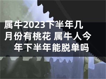 属牛2023下半年几月份有桃花 属牛人今年下半年能脱单吗