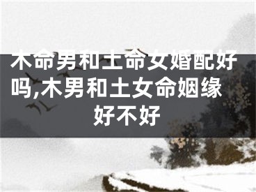 木命男和土命女婚配好吗,木男和土女命姻缘好不好