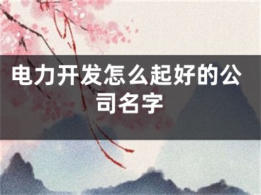 电力开发怎么起好的公司名字